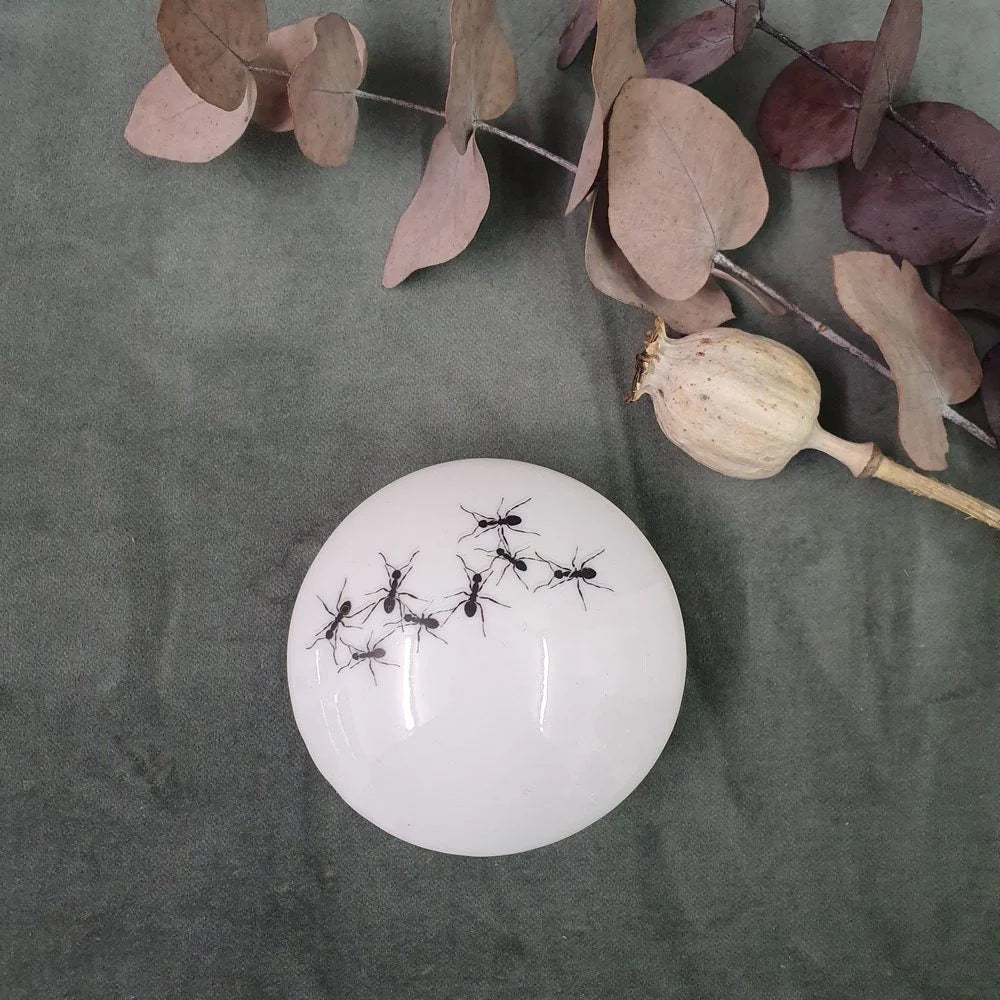 Ants Round porcelain box