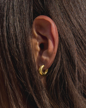 Hoops earrings