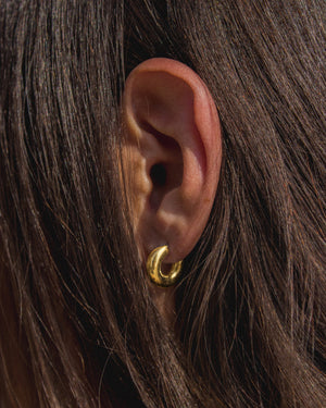 Hoops earrings