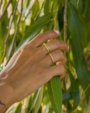 Merino ring