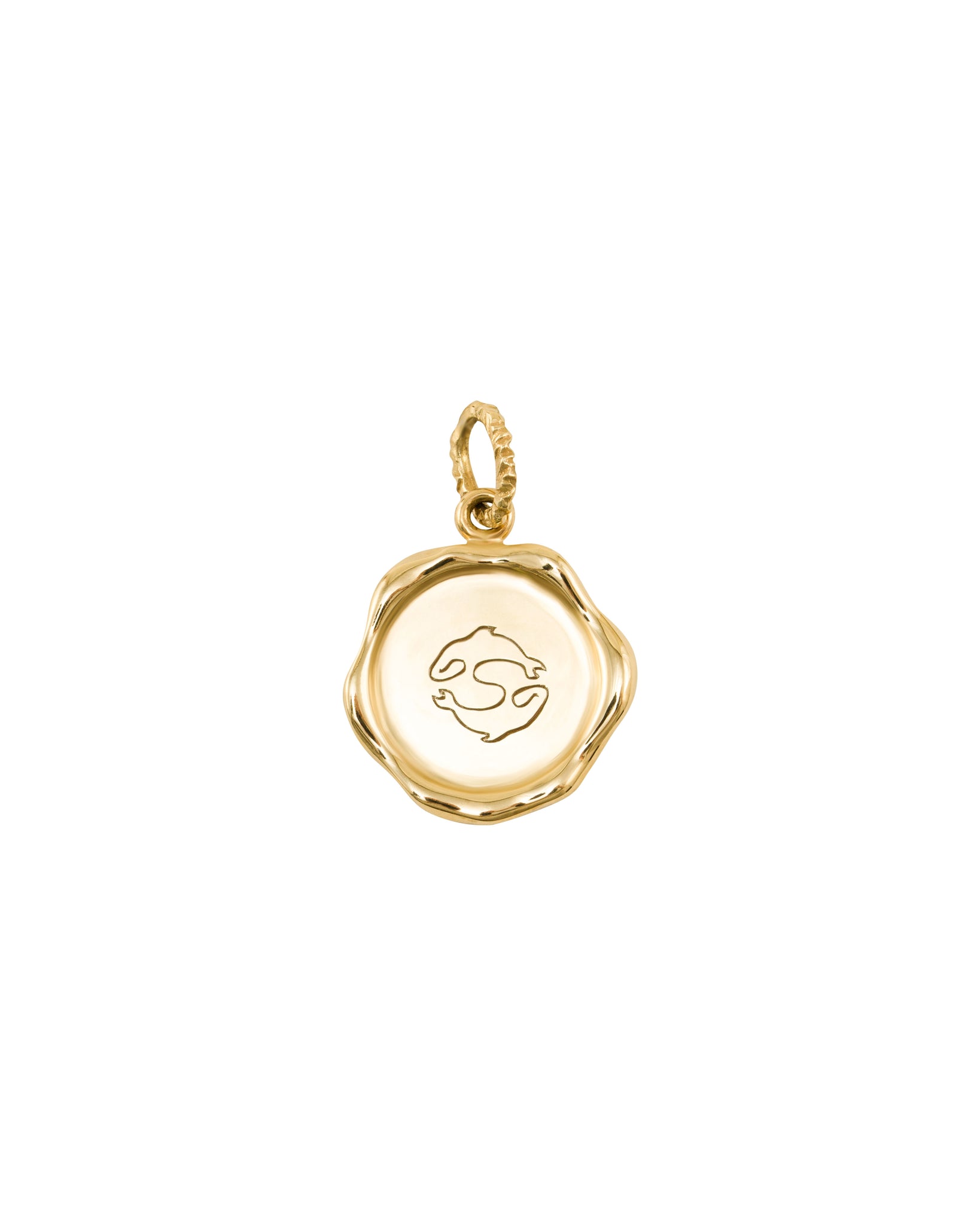 Zodiac Pisces charm