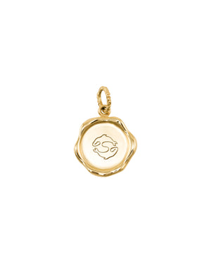 Zodiac Pisces charm