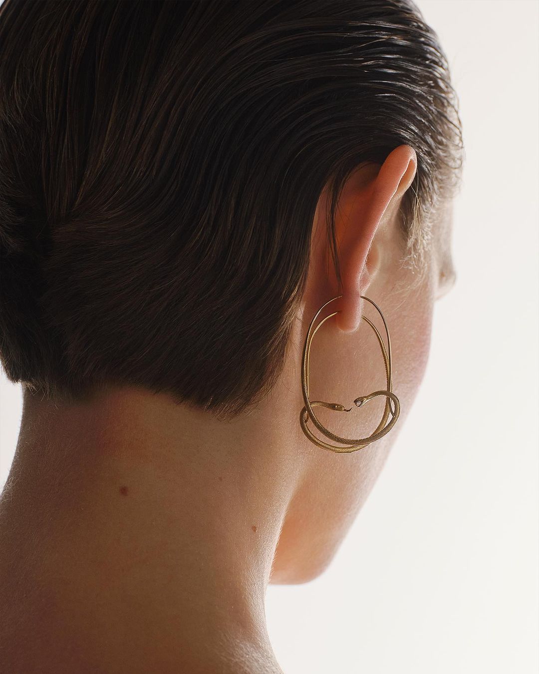 Snake oval hoops