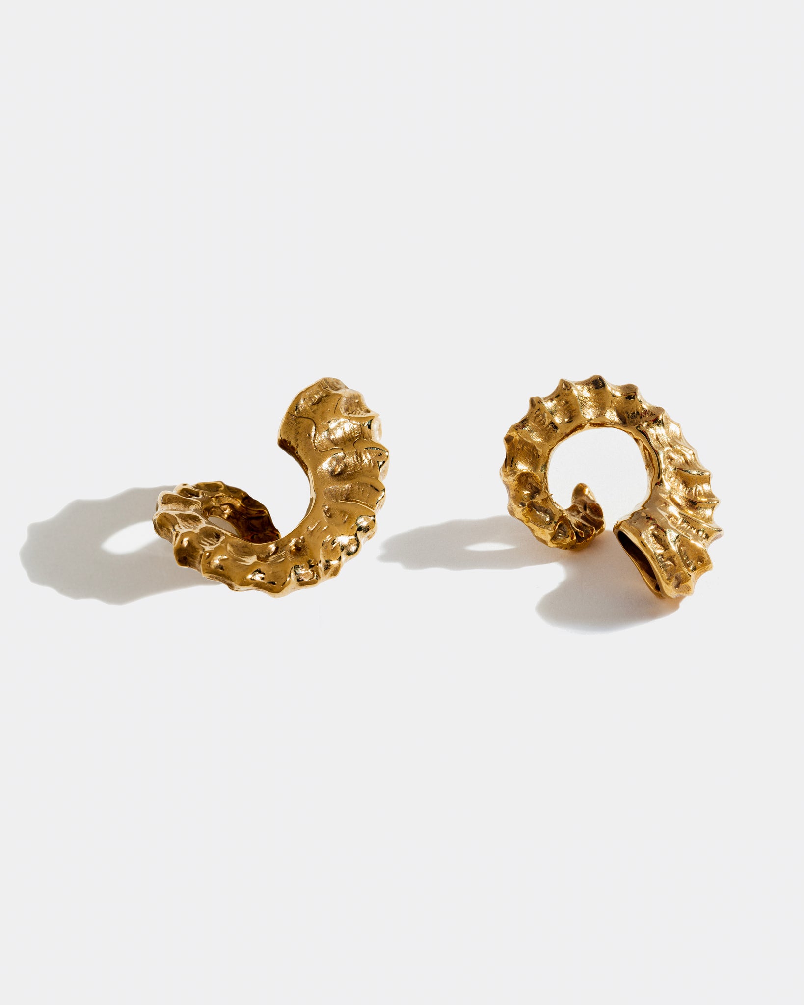 Horn earrings