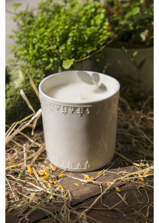Candle Déméter