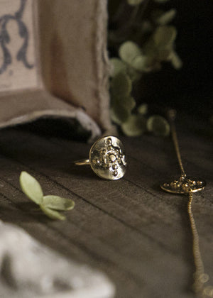 Ring in silver-gilt orion