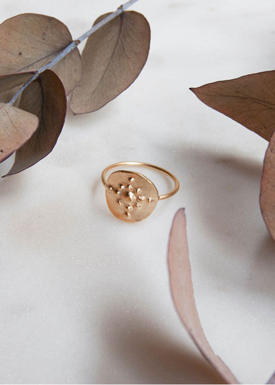 Ring in silver-gilt orion