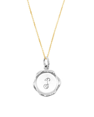 Zodiac Capricorn necklace